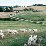 La Casetta Nyaraló Casole dʼElsa